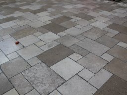 Paves de Versailles